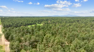 DJI_20250625103251_0183_D.jpg