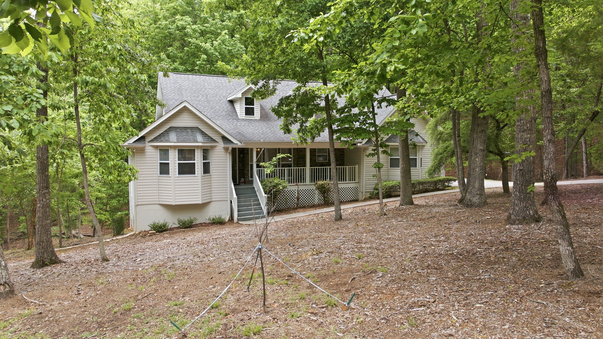Image-4