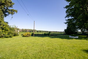  Photo 50