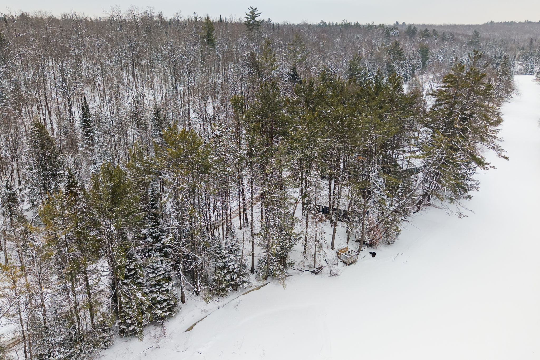 DJI_20260319064523_0613_D