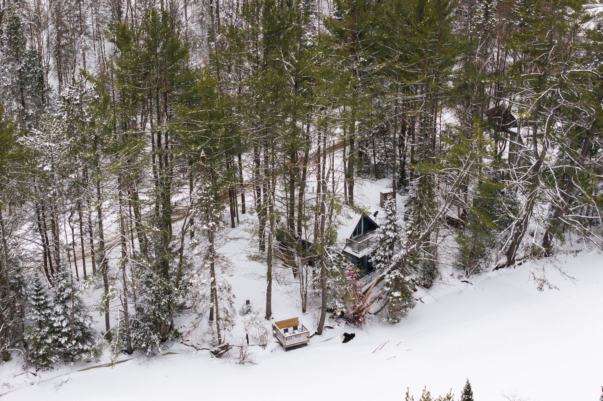 DJI_20260319064554_0616_D