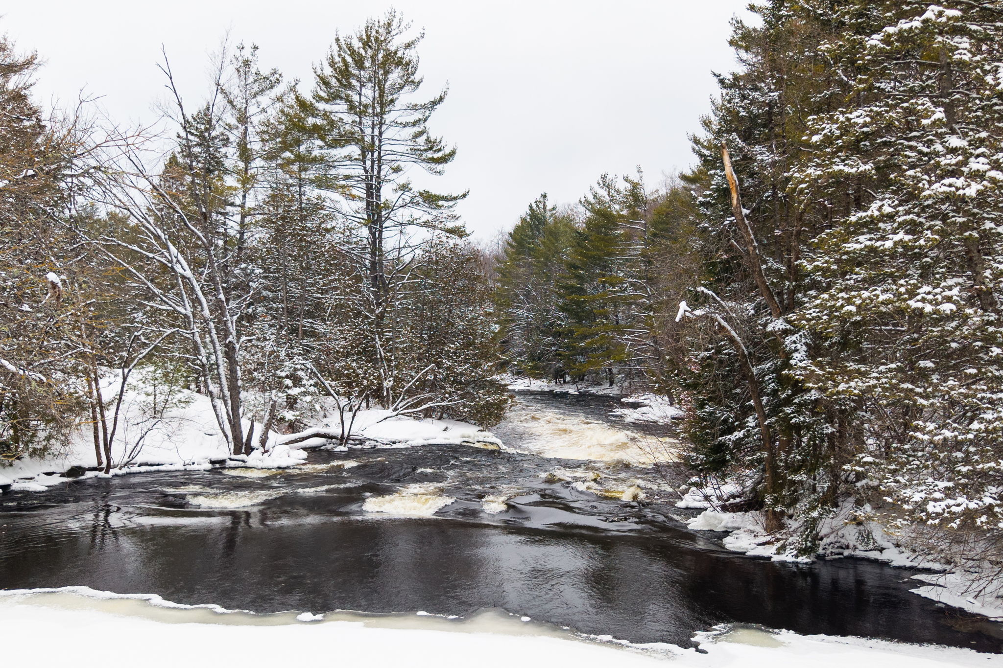 DJI_20260319064943_0639_D