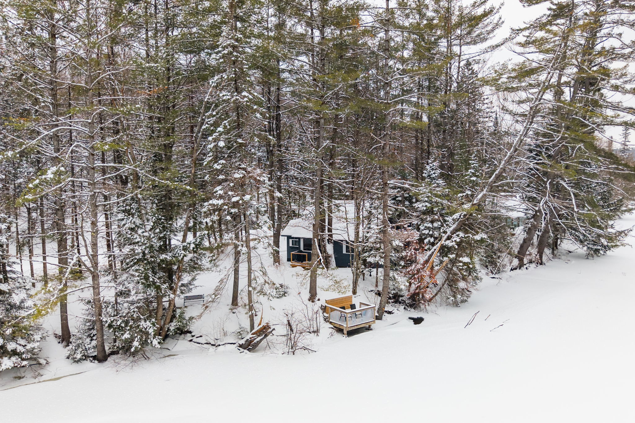 DJI_20260319065117_0646_D