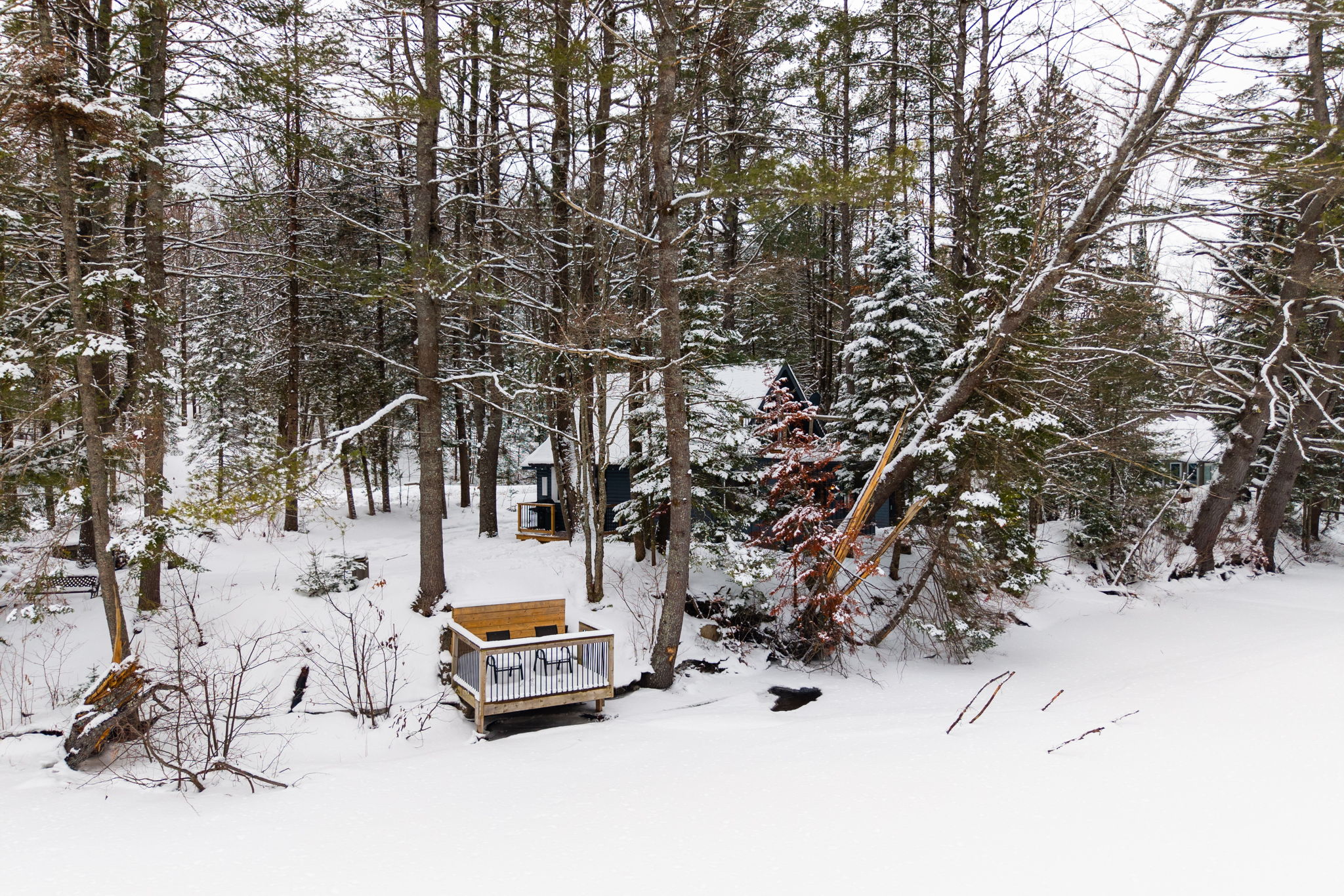 DJI_20260319065158_0650_D