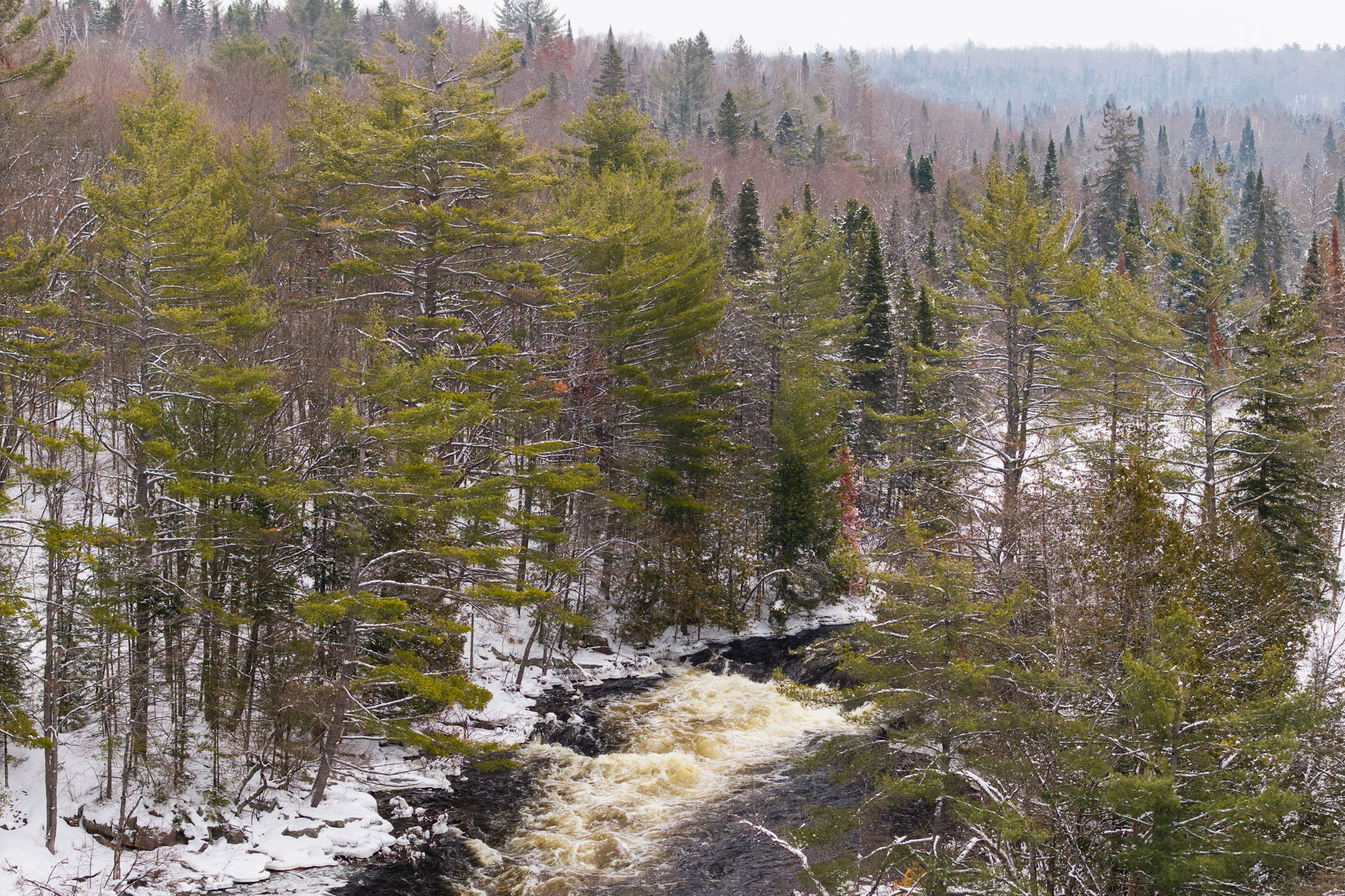 DJI_20260319065439_0669_D