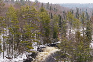 DJI_20260319065439_0669_D