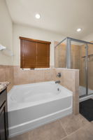 Upper Level Primary Bathroom 1c