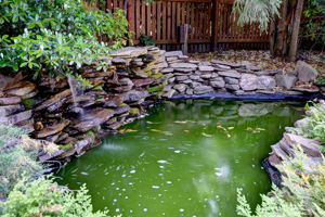  Photo 49