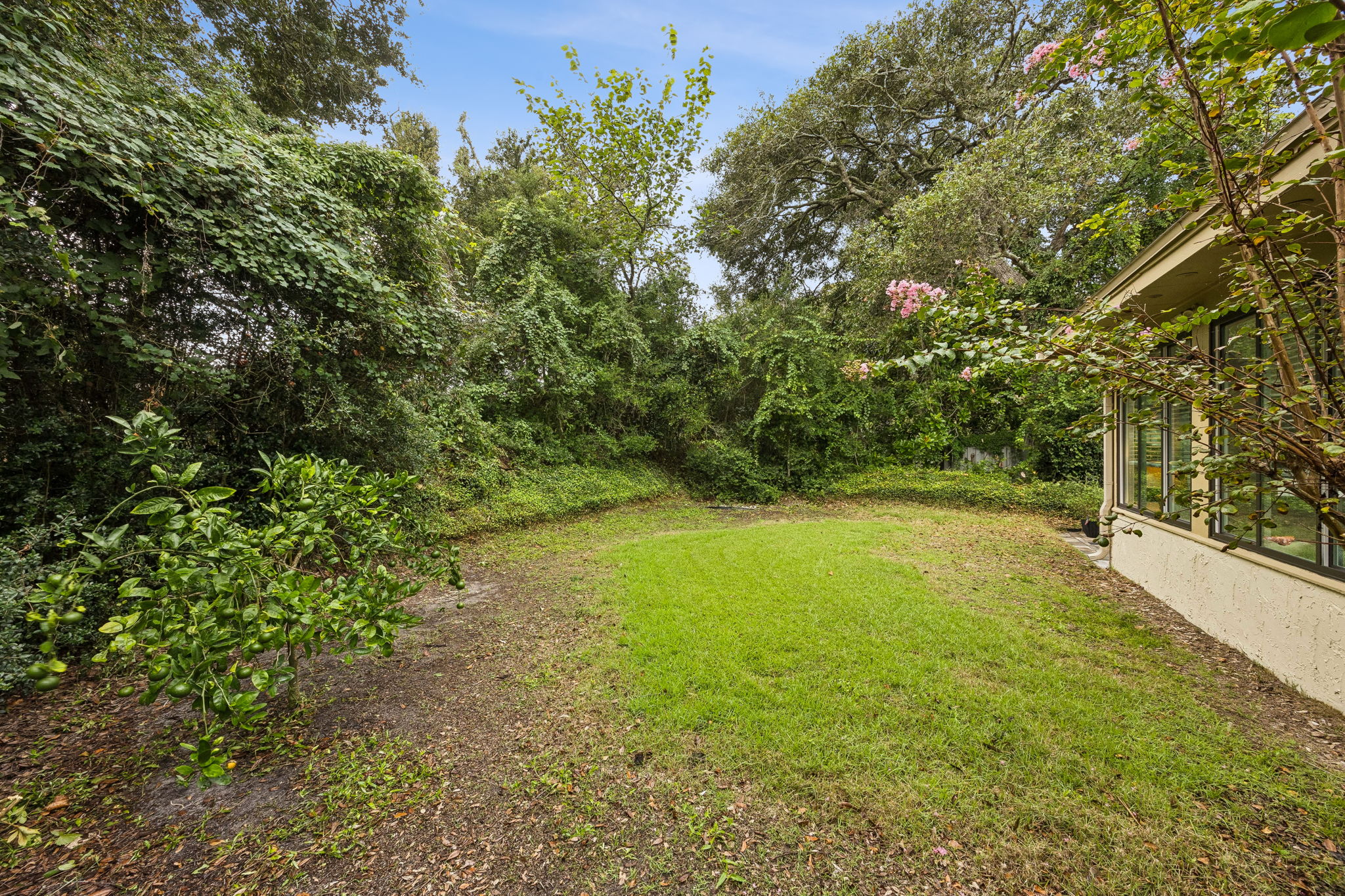 Backyard