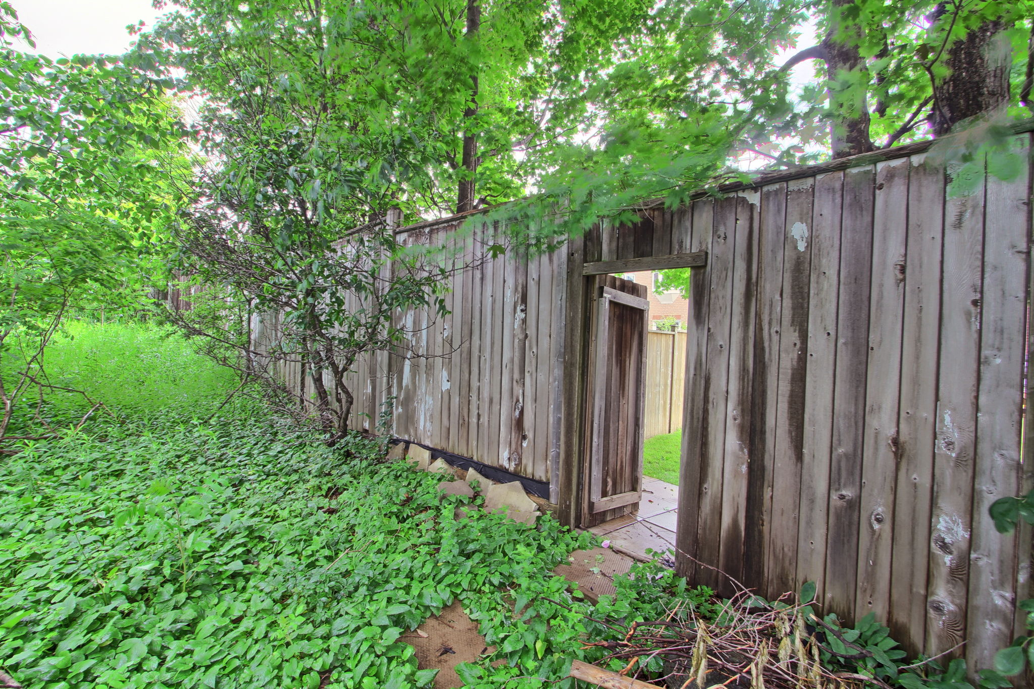  Photo 45