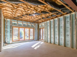 Unfinished Basement