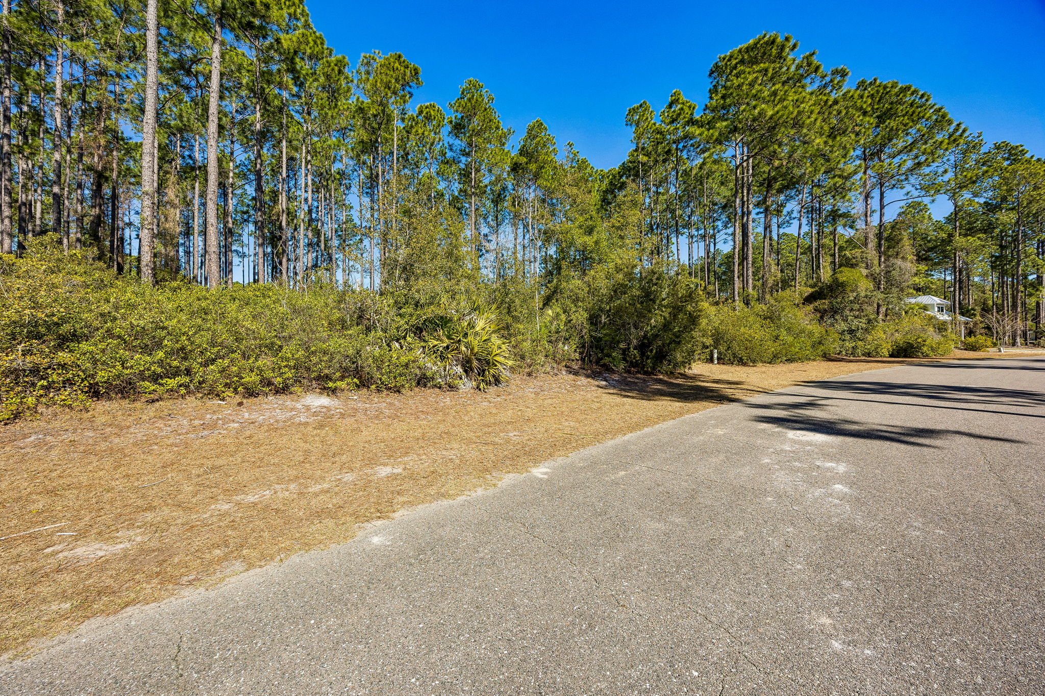 Welcome to 108 Wild Horse Ct