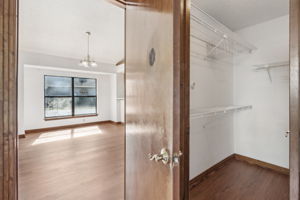 Primary Bedroom Closet