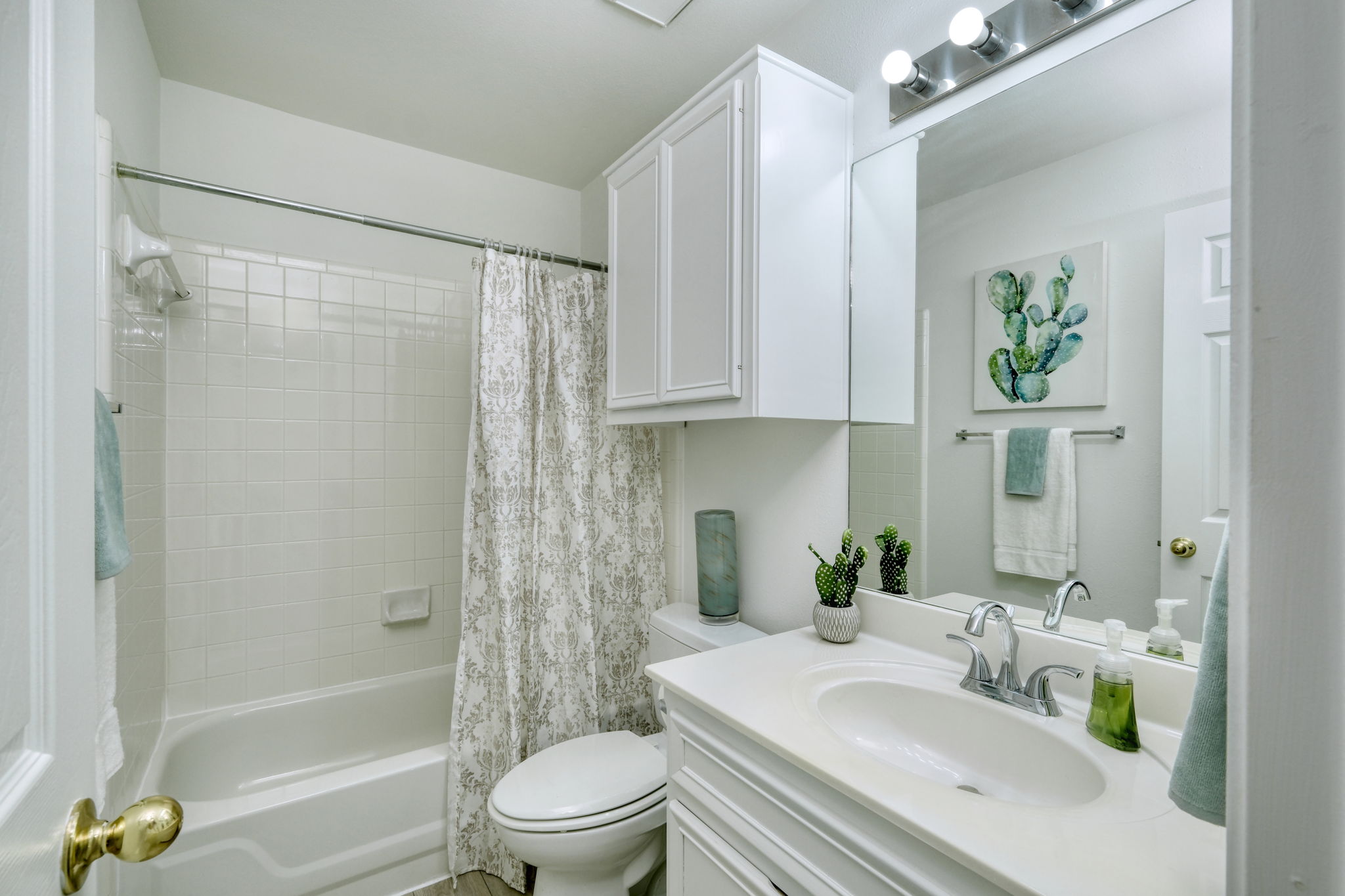 Hall Bathroom