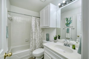 Hall Bathroom