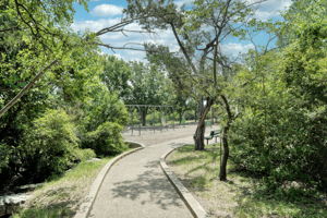 Community Park and Walking Trails