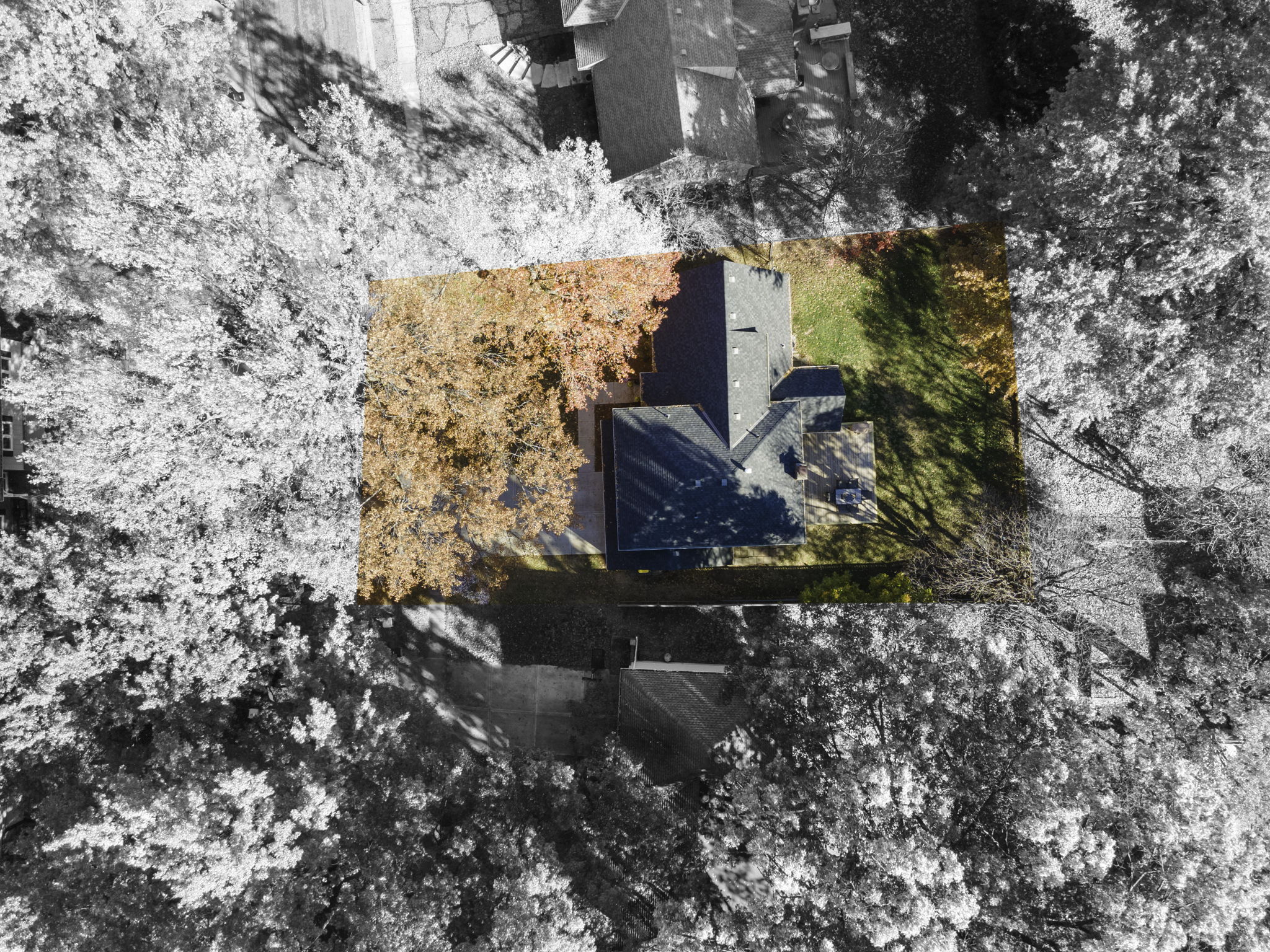  Photo 50