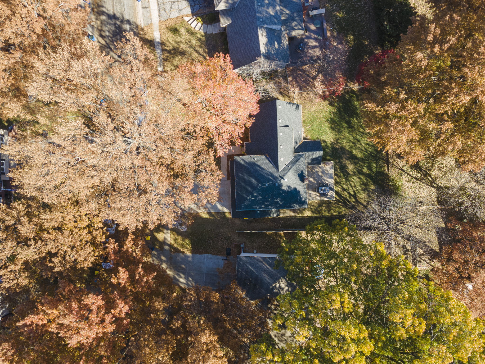  Photo 51
