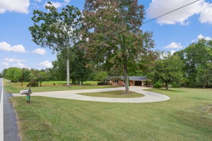 Front Yard