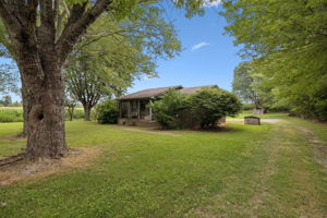  Photo 0