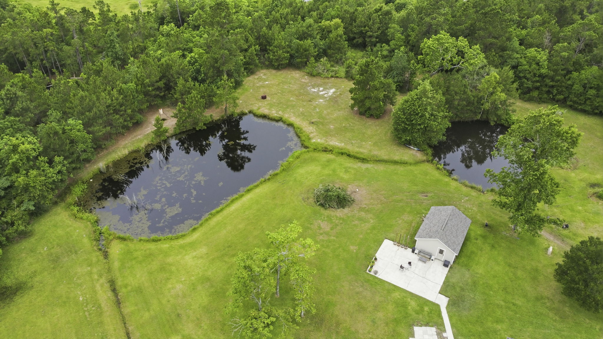  Photo 73