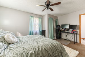  Photo 47