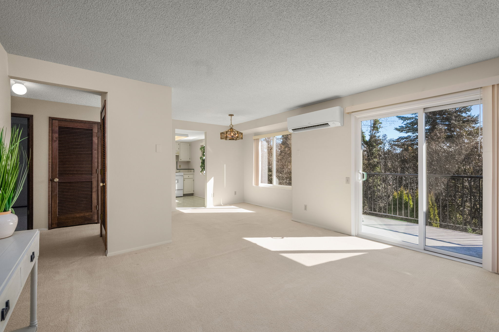 Living Room/Dining Room/Hallway