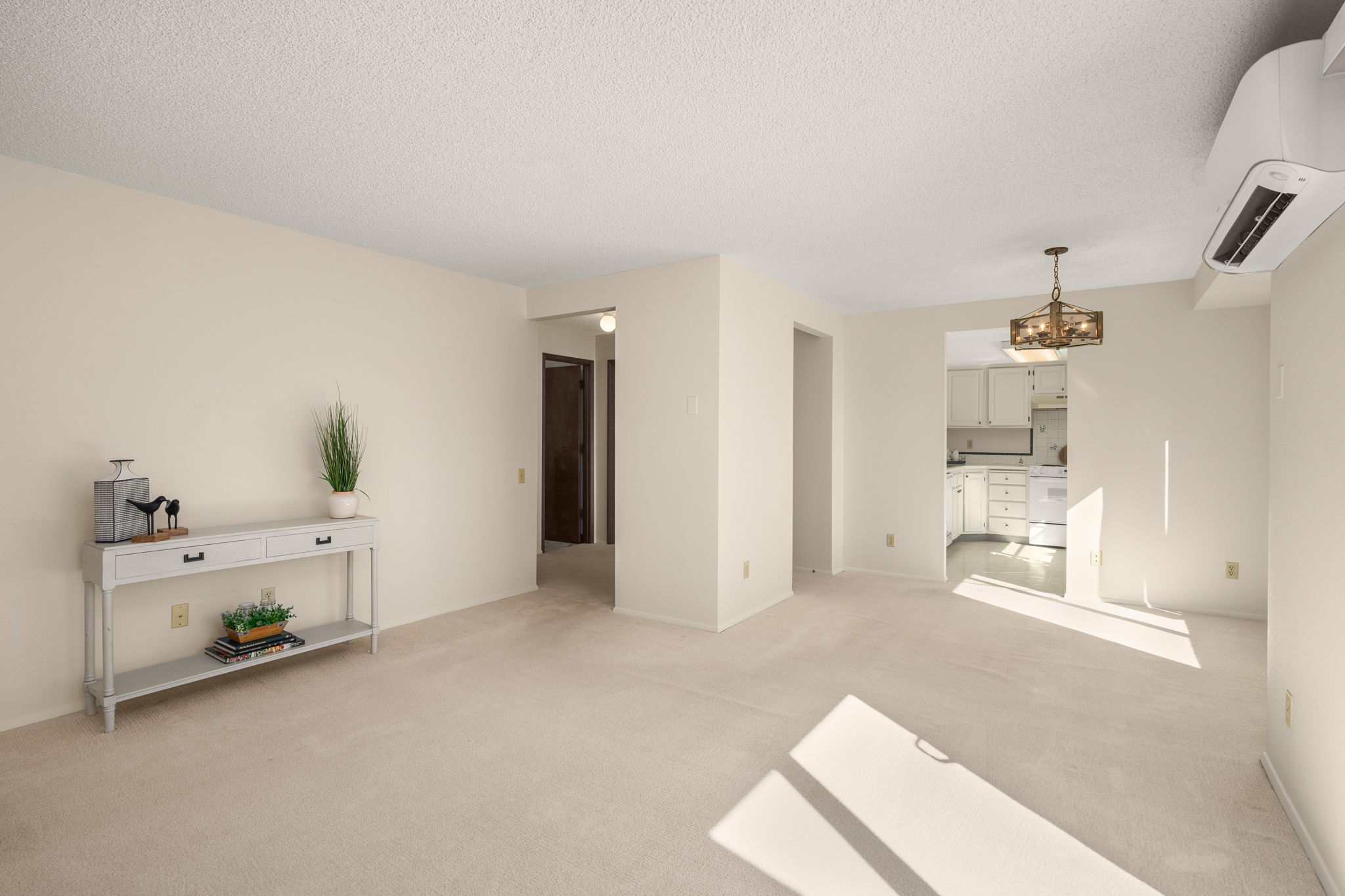 Living Room/Dining Room/Hallway