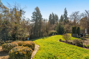 View - Community Grounds