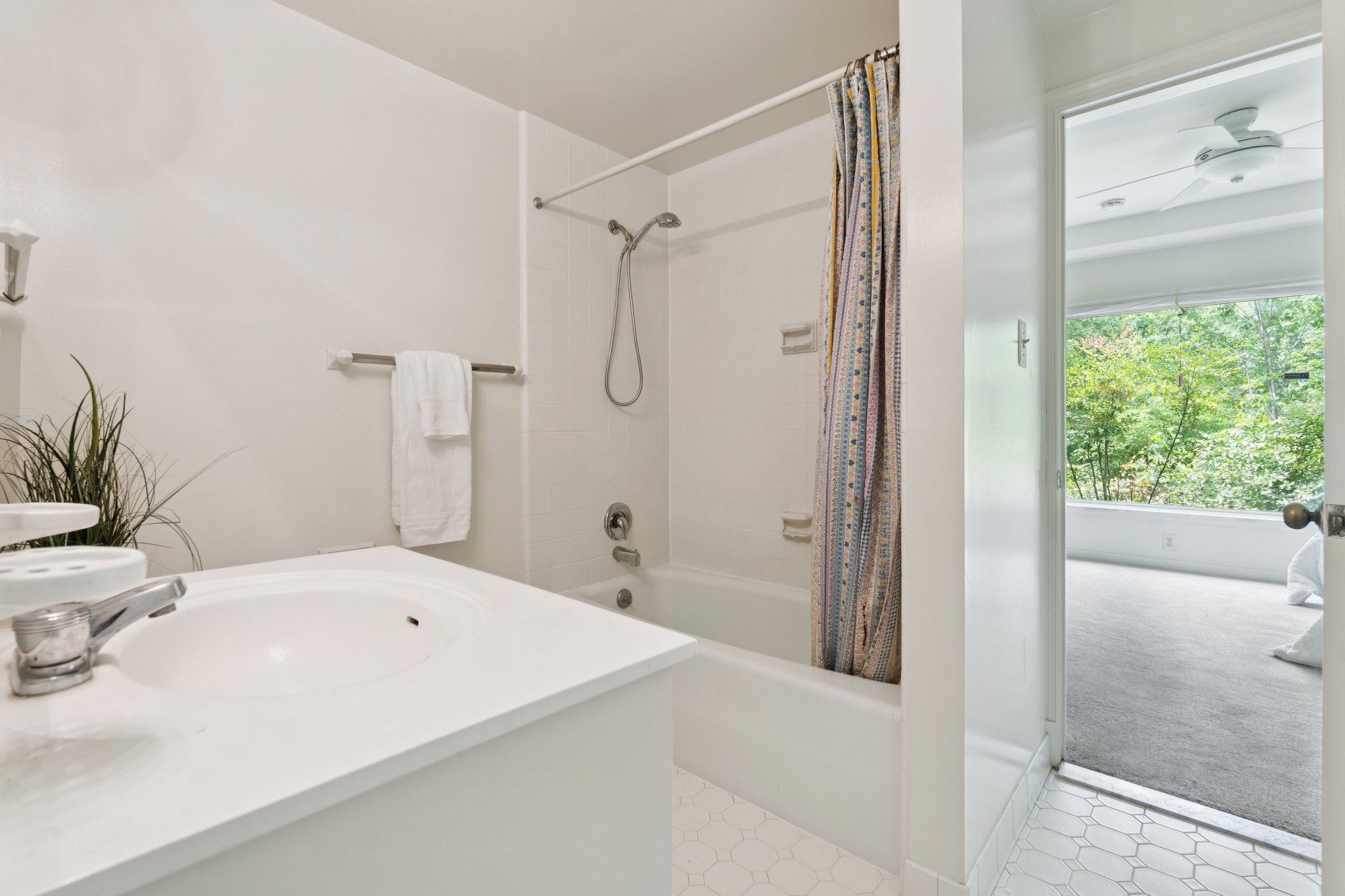 Lower Level Bathroom