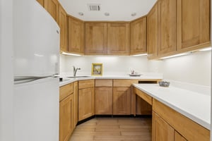 Lower Level Kitchenette