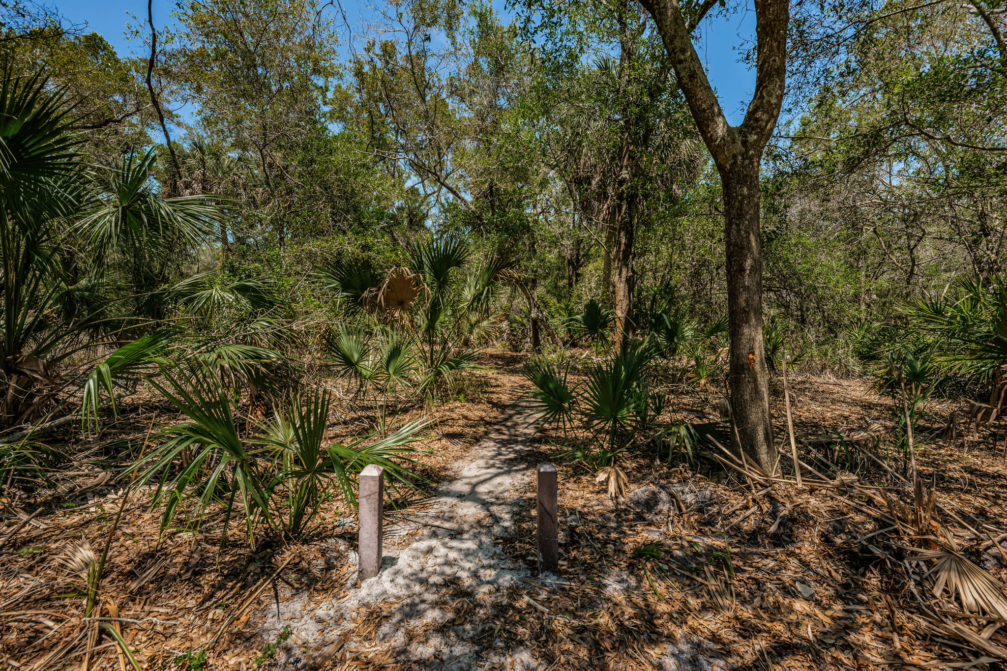 Pinellas Park Equestrian Center Trails 3