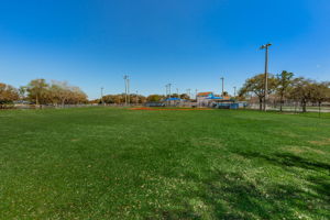 Sports Fields