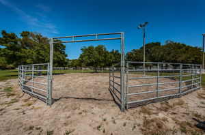 Pinellas Park Equestrian Center 5