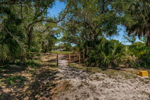 Pinellas Park Equestrian Center Trails 1