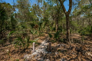 Pinellas Park Equestrian Center Trails 3