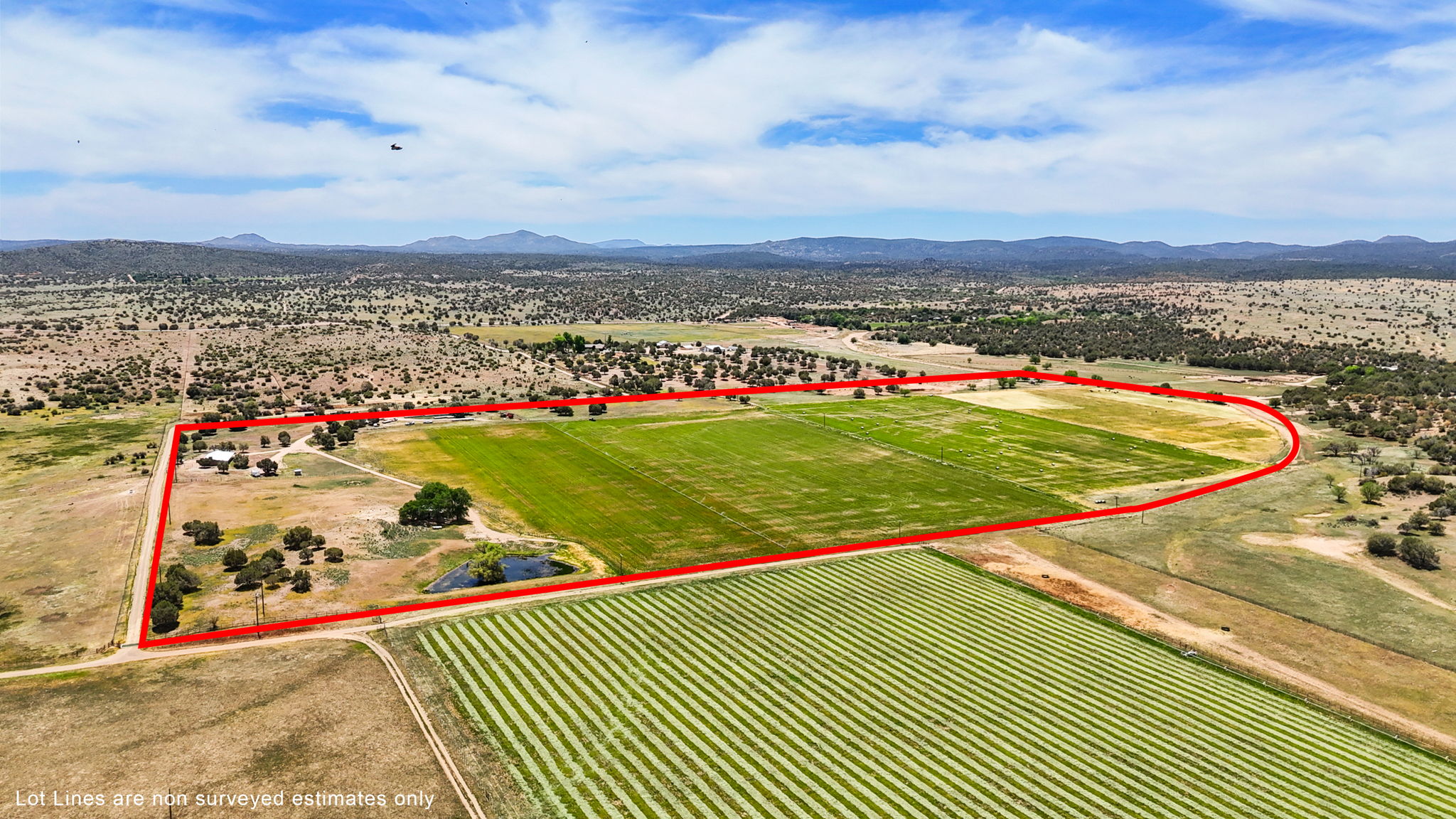 Aerial (5) Lot Lines