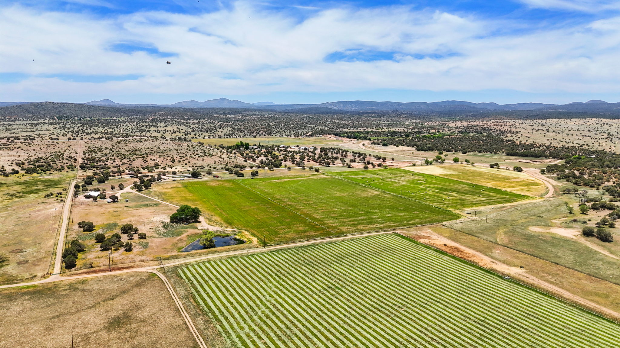 Aerial (5)