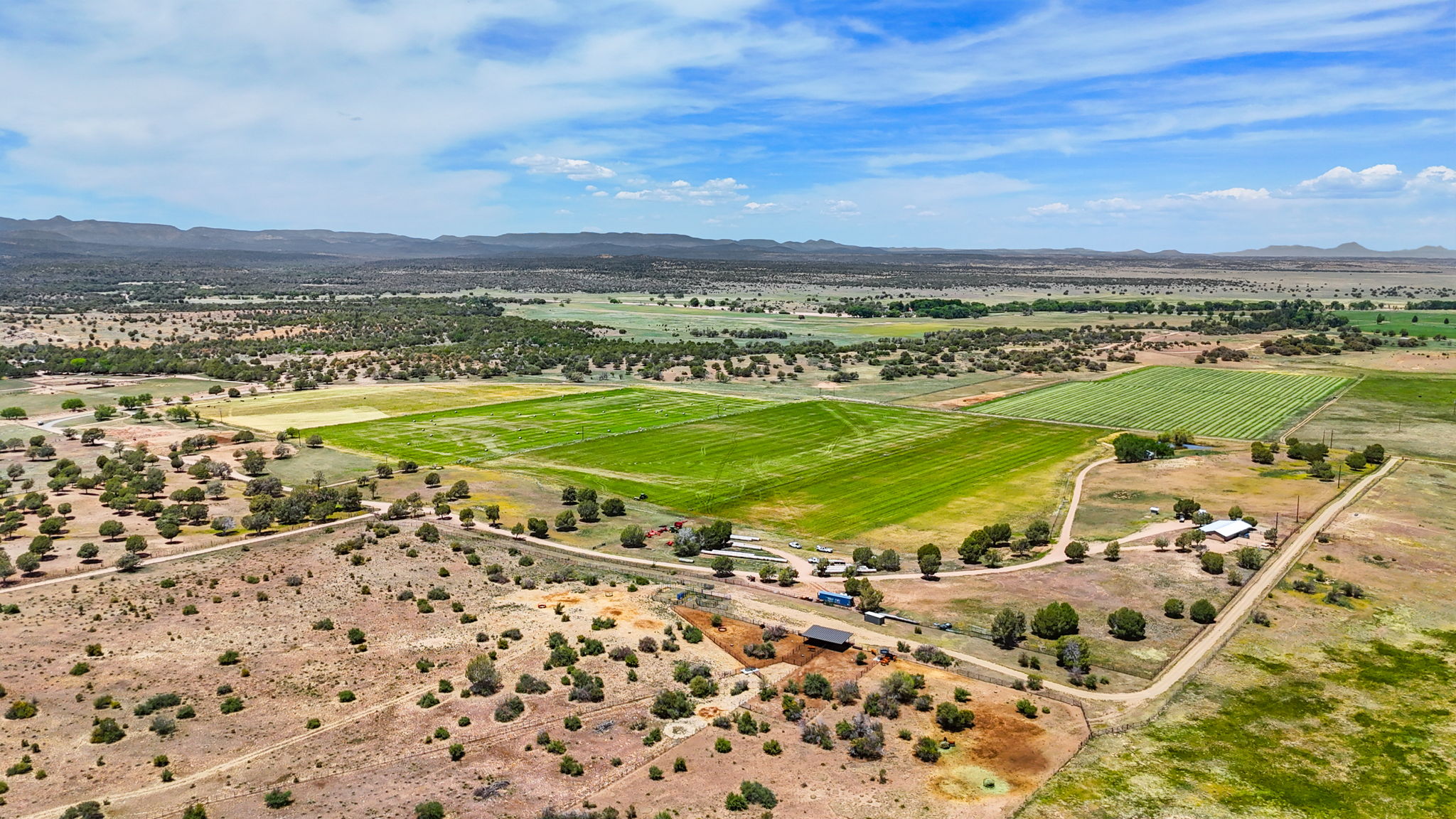 Aerial (10)