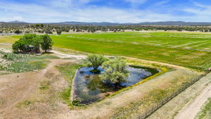 Lot Photo (1)