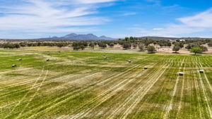 Lot Photo (5)