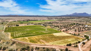 Aerial (2)