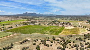 Aerial (4)