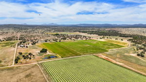 Aerial (5)