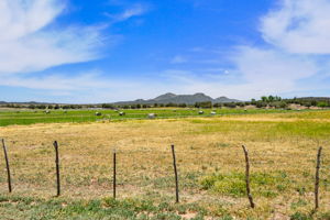 Ground Photo (1)