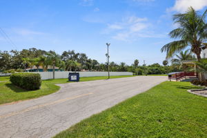 Parking Lot - 495A7369 (1)