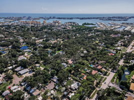 Aerial (10)