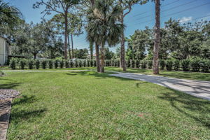 Frontyard3