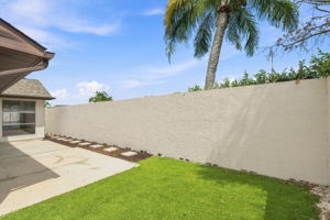 Backyard4