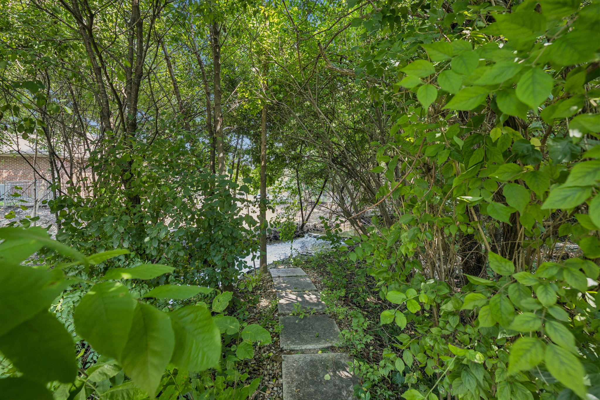  Photo 47